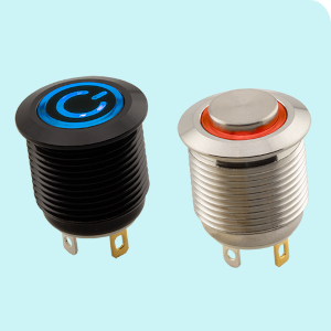 Anti-vandal switch